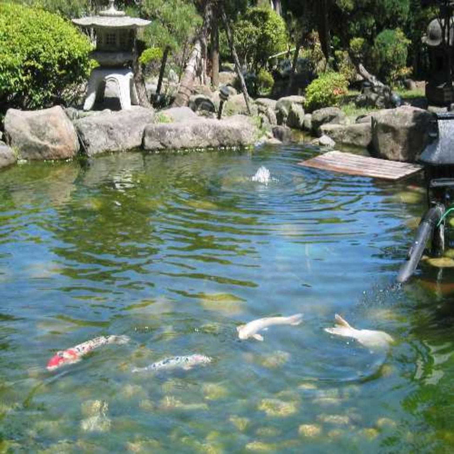 Ryokan Ichinomatsu Hakodate Luaran gambar